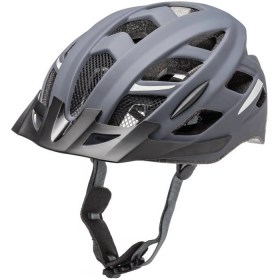 Fischer Urban Levin 1